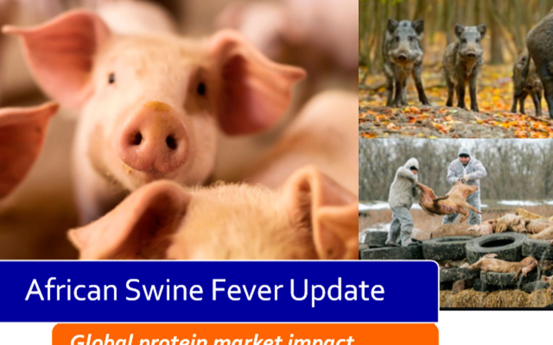 Informe sobre la situación actual de la Peste Porcina Africana (PPA) en el mundo