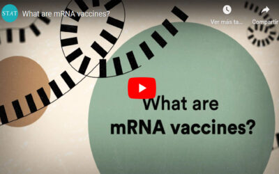 ¿Cómo funcionan las vacunas de ARN mensajero?